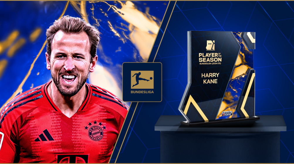 Bundesliga Transfer Spotlight