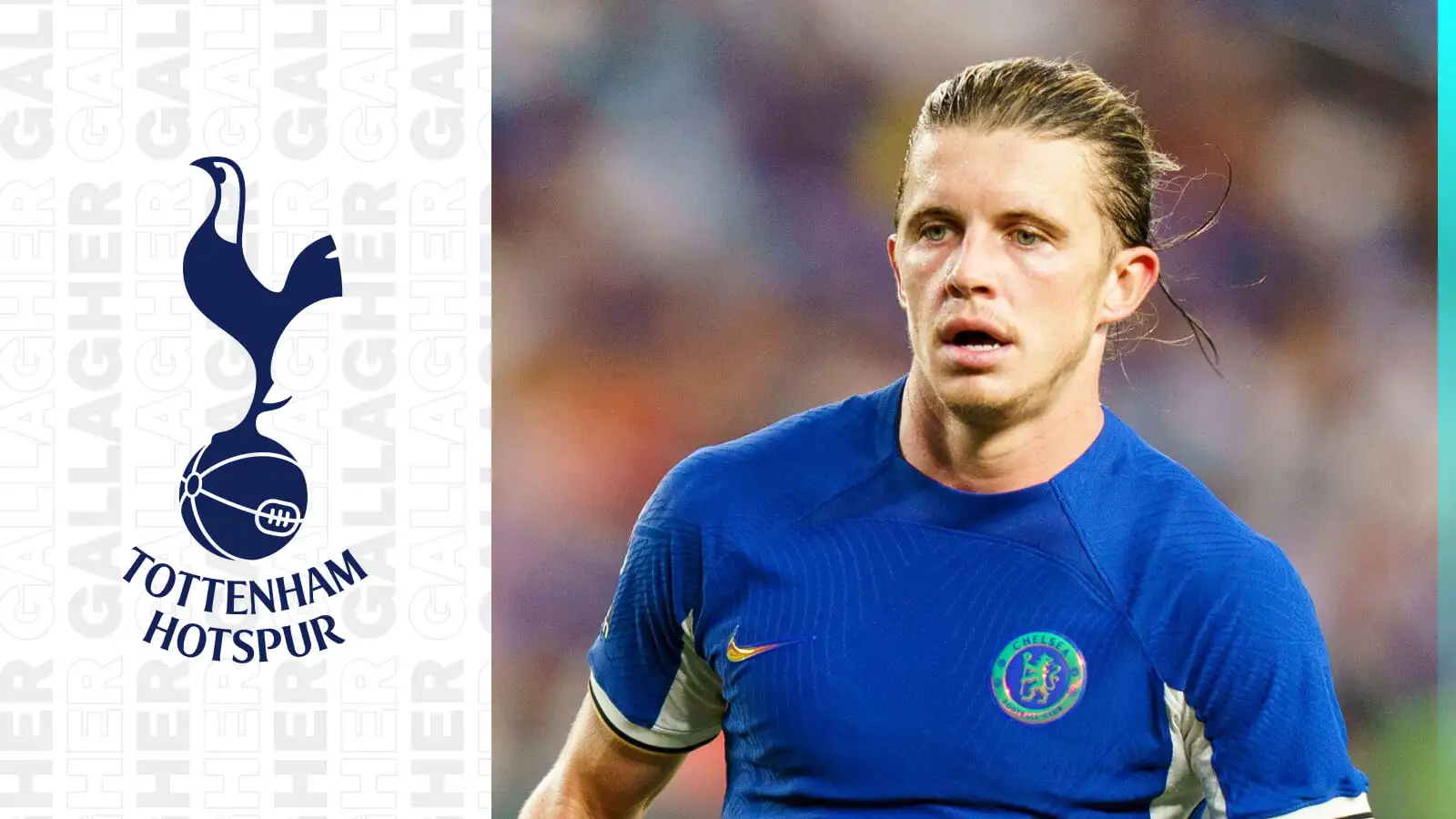 Tottenham Transfer Success